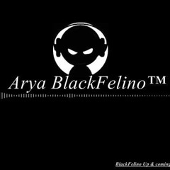 Arya BlackFelino- BASS KOKAII ▂ ▃ ▄ ▅ ▆ ▇ █