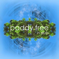 Orohanga (Paddy Free Dub) - Nga Tae (preview)