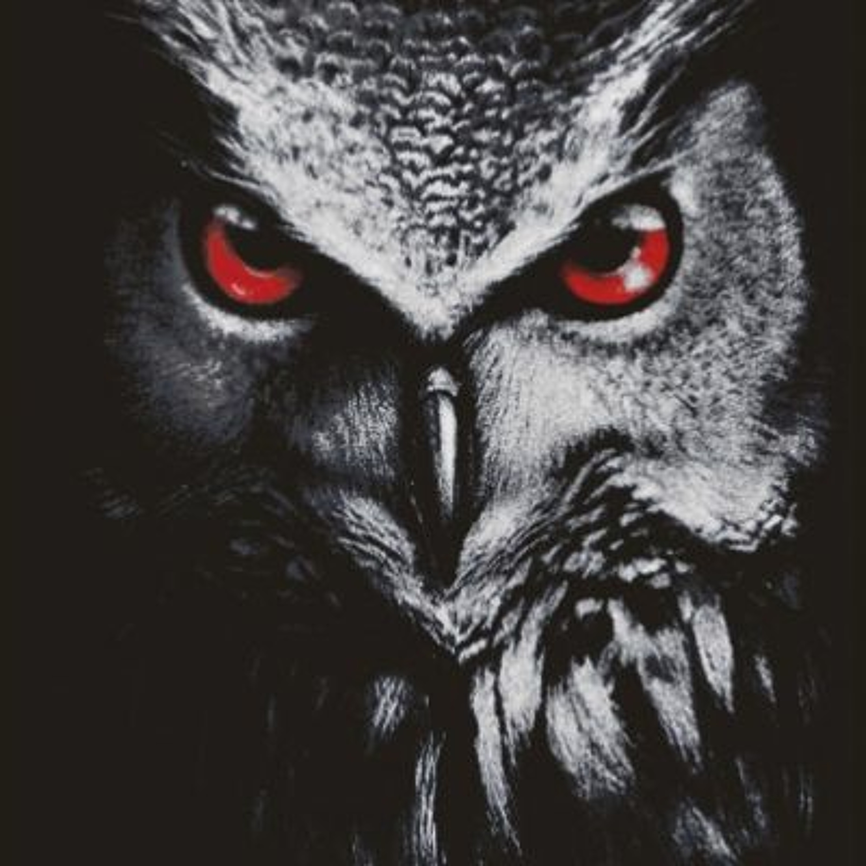 Marty Mjude - Graceful Owl episode artwork