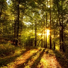 ejv - Chillout Sampled Freestyle Hip Hop Instrumental [Underground Rap Beat]