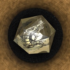 Wooden Ripples (with SOUL CONTACT)