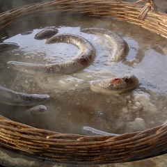 Daru925 - OSC 81 OxeFM - Boudin Bass