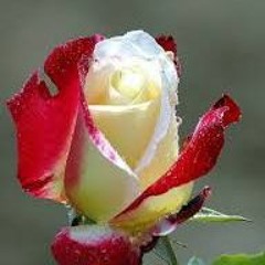 Une Rose Dans Le Desert -RemIx 2K16 dJKenash/power production mix