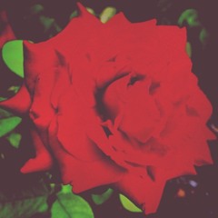 Losing Touch [Prod.by Canis Major]