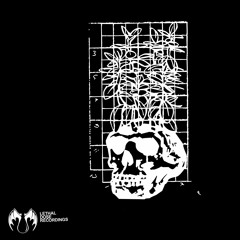 LDR 186 Cubex - Adrenochrome (Original Mix) preview