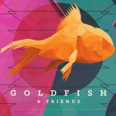Goldfish // Entering 2016