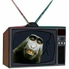 Temple Monkeys TV