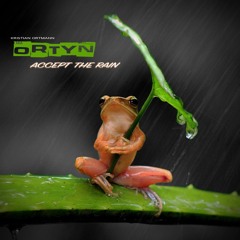 Kristian Ortmann_AKA_Ortyn_Accept The Rain (Original Mix)