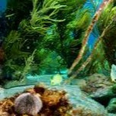 What You Like To Hear (1)