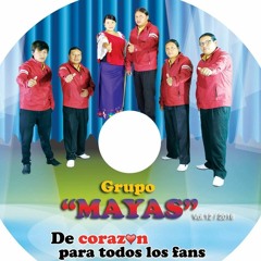 GRUPO MAYAS VOL 12 - cervesita