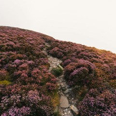 In My Place - Coldplay