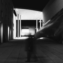 ScaryHairy - Ambient Promo Set 02/2016 (LiveSet)