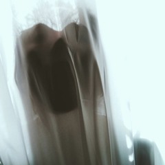 NOVUS IGNIS-Nokkrates aka Leonardo Tedio