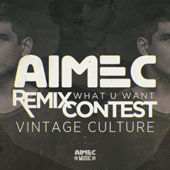 Vintage Culture - What U Want (Zuka Remix)