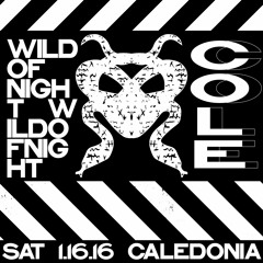 Wild of Night 1.16.16