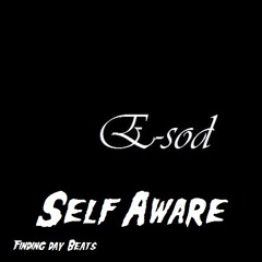 E-SOD - Self Aware (FindingDayBeats)