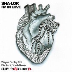 Sha-Lor - I'm In Love (Wayne Dudley Remix)TEASER