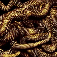 Black Market