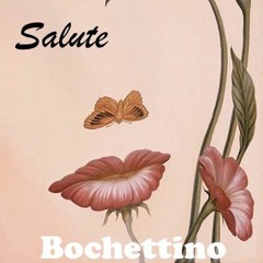 Bochettino - Pace e Salute (original Mix)