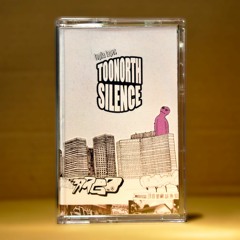 TOONORTH - SILENCE (TT001) preview