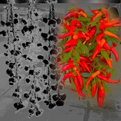 Back on Track [Taster]