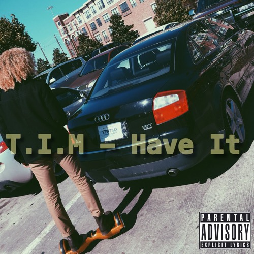 T.I.M - Have It