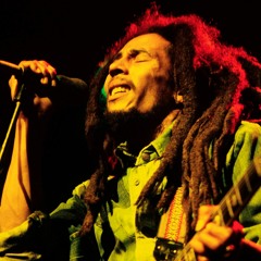 Bob Marley - Kaya (Live Dub Architect Mix)