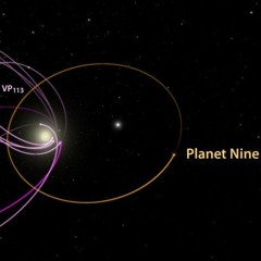 Space Nuts