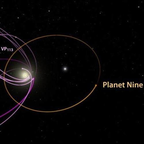 Space Nuts