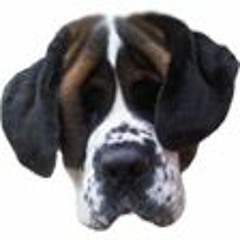 Lost In House/Twitch 31-01-16