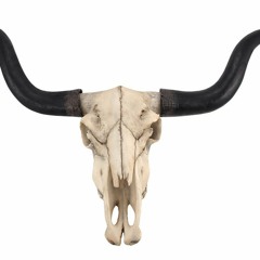 Theme for "A Cowboy Movie"