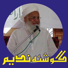 Maulana Syed Abdul Majeed Nadeem R.A(HAZRAT SULEMAN (A.S)09-09-1986 LAHORI GATE PESHAWAR