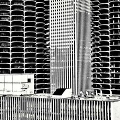 INTERNATIONAL BUSINESS COMPANY