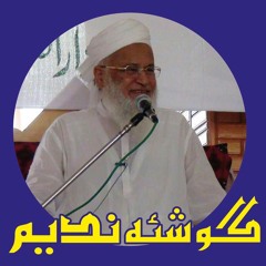 Maulana Syed Abdul Majeed Nadeem R.A 09-08-2007(1-2)IRAN