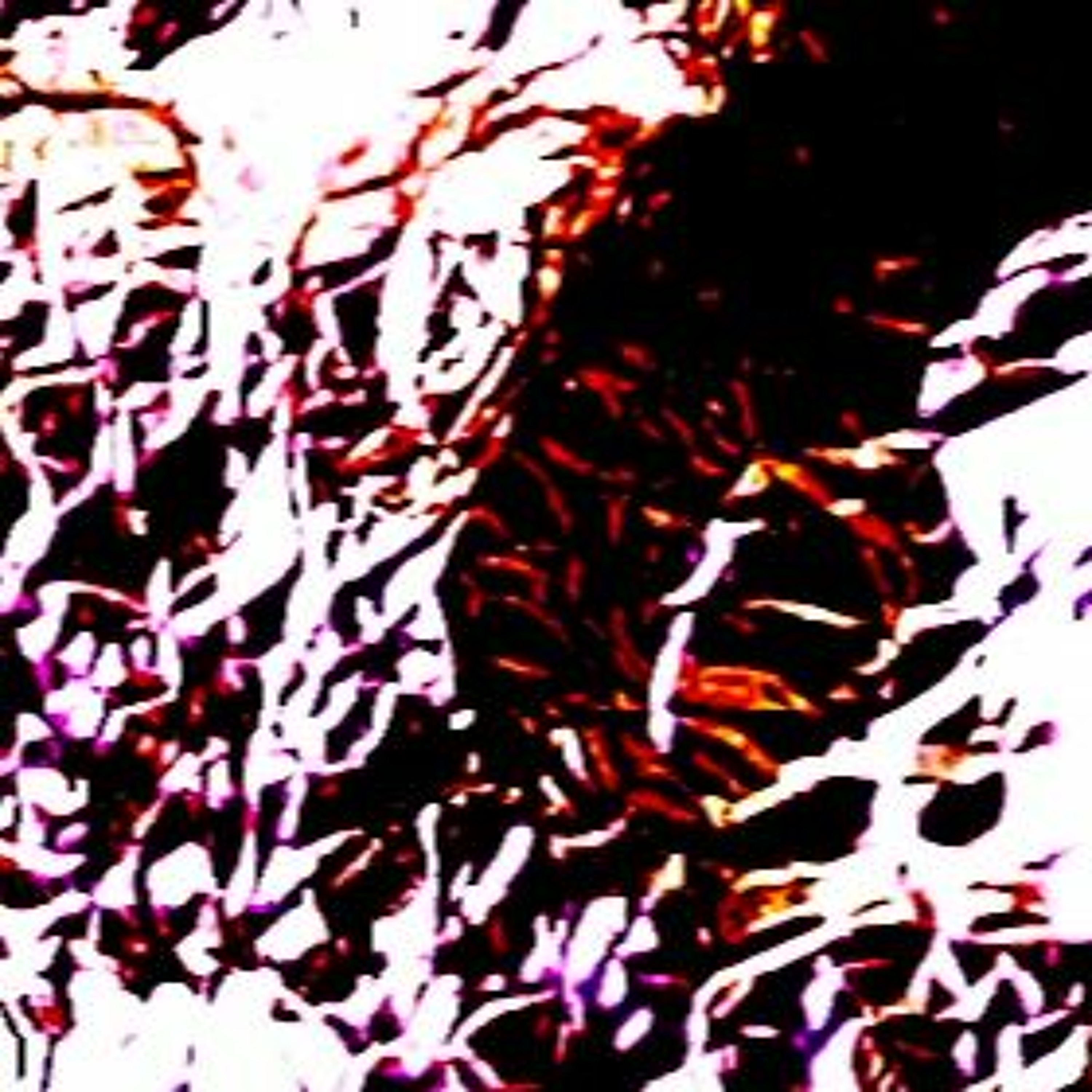 【世界台】UN講Assange藏大使館是予人關 - 160207 episode artwork