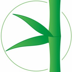 003. Zen Metaphor - Requêtes N+1