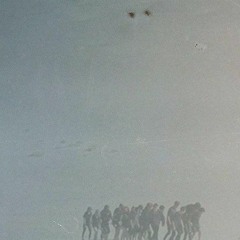 untitled (field variations: swarm) live