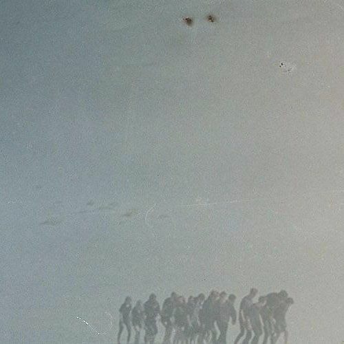 untitled (field variations: swarm) live