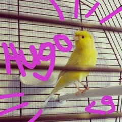 Hugo