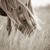 Artwork for A Thousand Horses