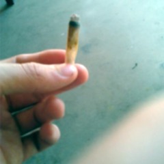 "FORE$T" [p. POYNAH]