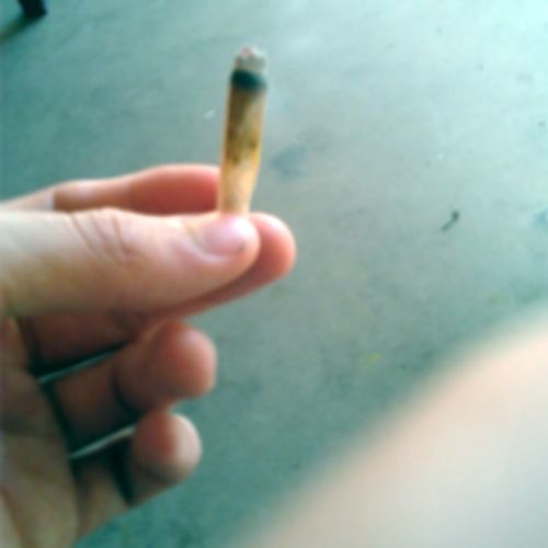 "FORE$T" [p. POYNAH]