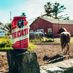 solo huaxaca chingada madre