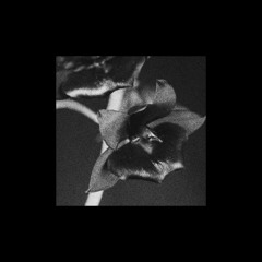 PREDESTINATION (prod. by LOOT)