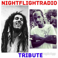 NFR -  Bob Marley x J.O.E Tribute 2/6/16 (Dj Icopsycho)