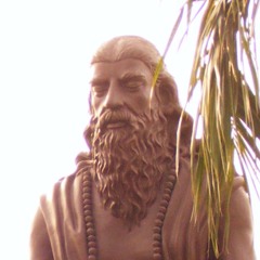 Dhyana Selon Patanjali par Swami Veetamohananda