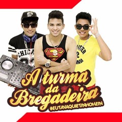 A TURMA DA BREGADEIRA  -  CD SUMMER 2016     CARNAVAL  MUSICAS NOVAS