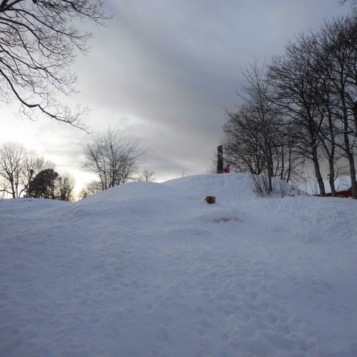 Northern Frequencies (mix)