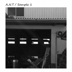 A.N.T. 0 CM(20160208)