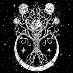 Amiensus Teaser 2016